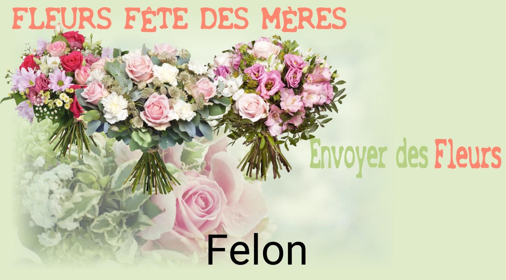 Bouquet de Fête des Mères livré à Felon